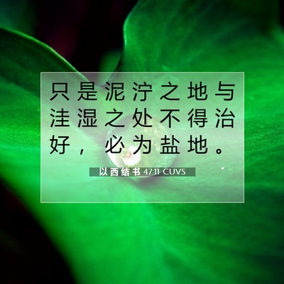 Picture 07 - 以 西 结 书 47:11 CUVS - 只 是 泥 泞 之 地 与 洼 湿 之 处 不 - Bible Verse Picture