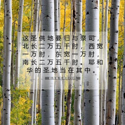 Picture 07 - 以 西 结 书 48:10 CUVS - 这 圣 供 地 要 归 与 祭 司 ， 北 长 - Bible Verse Picture
