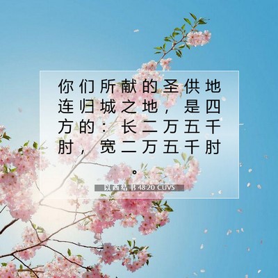 Picture 07 - 以 西 结 书 48:20 CUVS - 你 们 所 献 的 圣 供 地 连 归 城 之 - Bible Verse Picture
