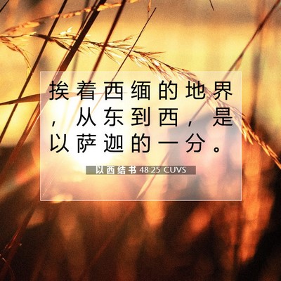 Picture 07 - 以 西 结 书 48:25 CUVS - 挨 着 西 缅 的 地 界 ， 从 东 到 西 - Bible Verse Picture