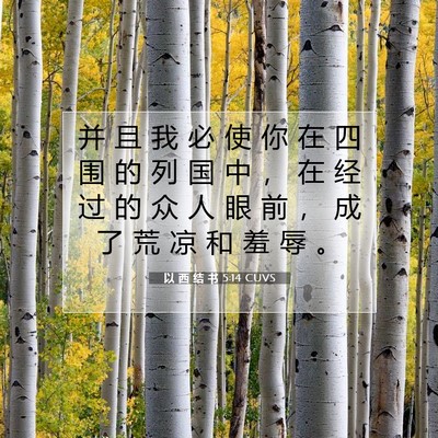 Picture 07 - 以 西 结 书 5:14 CUVS - 并 且 我 必 使 你 在 四 围 的 列 国 - Bible Verse Picture