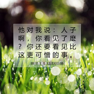 Picture 07 - 以 西 结 书 8:15 CUVS - 他 对 我 说 ： 人 子 啊 ， 你 看 见 - Bible Verse Picture