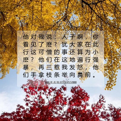 Picture 07 - 以 西 结 书 8:17 CUVS - 他 对 我 说 ： 人 子 啊 ， 你 看 见 - Bible Verse Picture