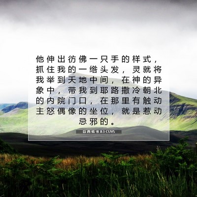 Picture 07 - 以 西 结 书 8:3 CUVS - 他 伸 出 彷 佛 一 只 手 的 样 式 ， - Bible Verse Picture