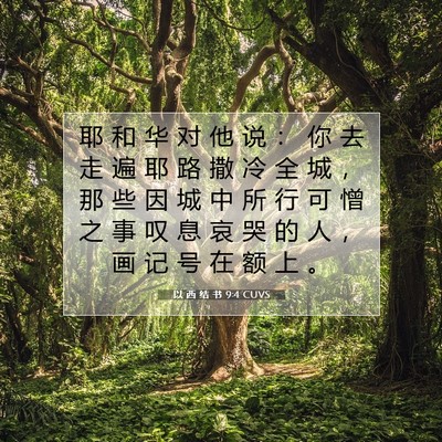 Picture 07 - 以 西 结 书 9:4 CUVS - 耶 和 华 对 他 说 ： 你 去 走 遍 耶 - Bible Verse Picture