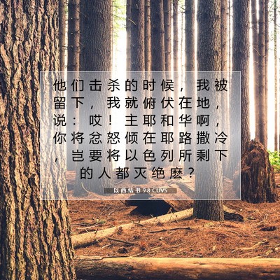 Picture 07 - 以 西 结 书 9:8 CUVS - 他 们 击 杀 的 时 候 ， 我 被 留 下 - Bible Verse Picture