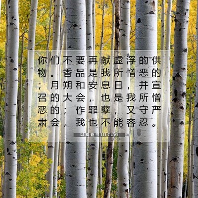 Picture 07 - 以 赛 亚 书 1:13 CUVS - 你 们 不 要 再 献 虚 浮 的 供 物 。 - Bible Verse Picture