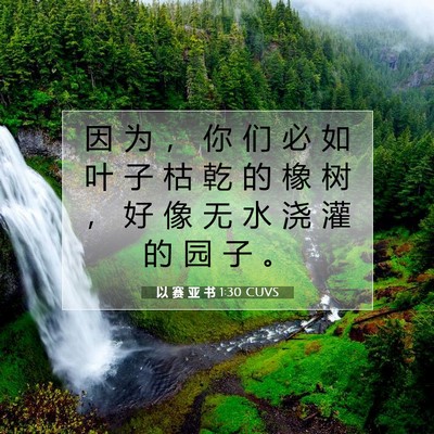 Picture 07 - 以 赛 亚 书 1:30 CUVS - 因 为 ， 你 们 必 如 叶 子 枯 乾 的 - Bible Verse Picture