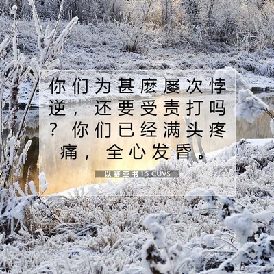 Picture 07 - 以 赛 亚 书 1:5 CUVS - 你 们 为 甚 麽 屡 次 悖 逆 ， 还 要 - Bible Verse Picture
