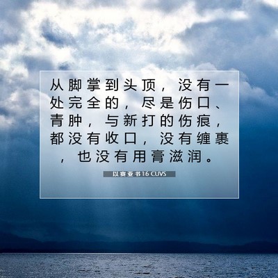 Picture 07 - 以 赛 亚 书 1:6 CUVS - 从 脚 掌 到 头 顶 ， 没 有 一 处 完 - Bible Verse Picture