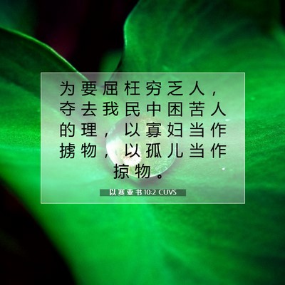Picture 07 - 以 赛 亚 书 10:2 CUVS - 为 要 屈 枉 穷 乏 人 ， 夺 去 我 民 - Bible Verse Picture