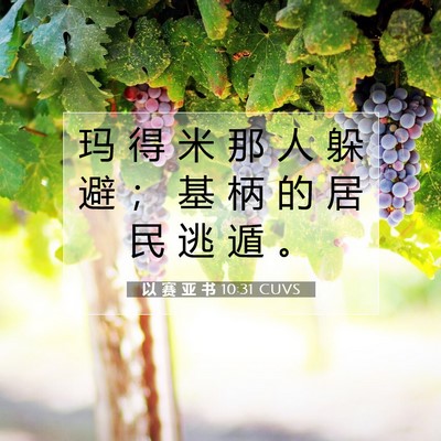 Picture 07 - 以 赛 亚 书 10:31 CUVS - 玛 得 米 那 人 躲 避 ； 基 柄 的 居 - Bible Verse Picture