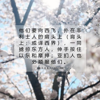 Picture 07 - 以 赛 亚 书 11:14 CUVS - 他 们 要 向 西 飞 ， 扑 在 非 利 士 - Bible Verse Picture