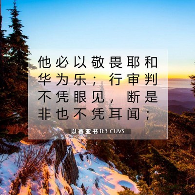 Picture 07 - 以 赛 亚 书 11:3 CUVS - 他 必 以 敬 畏 耶 和 华 为 乐 ； 行 - Bible Verse Picture