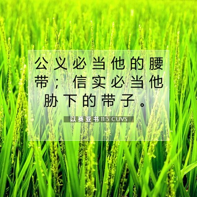 Picture 07 - 以 赛 亚 书 11:5 CUVS - 公 义 必 当 他 的 腰 带 ； 信 实 必 - Bible Verse Picture