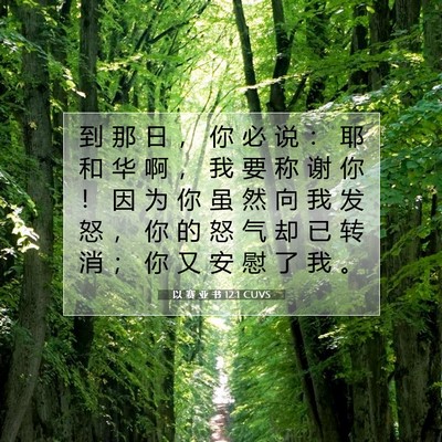Picture 07 - 以 赛 亚 书 12:1 CUVS - 到 那 日 ， 你 必 说 ： 耶 和 华 啊 - Bible Verse Picture