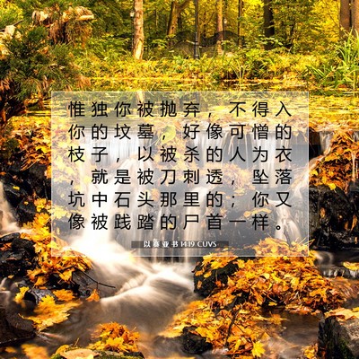 Picture 07 - 以 赛 亚 书 14:19 CUVS - 惟 独 你 被 抛 弃 ， 不 得 入 你 的 - Bible Verse Picture