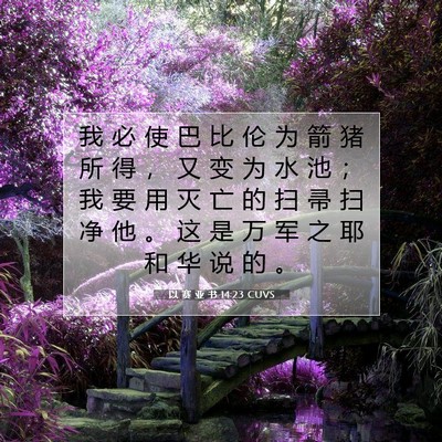 Picture 07 - 以 赛 亚 书 14:23 CUVS - 我 必 使 巴 比 伦 为 箭 猪 所 得 ， - Bible Verse Picture
