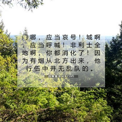 Picture 07 - 以 赛 亚 书 14:31 CUVS - 门 哪 ， 应 当 哀 号 ！ 城 啊 ， 应 - Bible Verse Picture