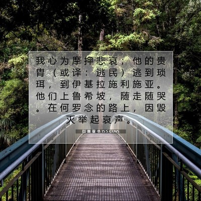 Picture 07 - 以 赛 亚 书 15:5 CUVS - 我 心 为 摩 押 悲 哀 ； 他 的 贵 胄 - Bible Verse Picture