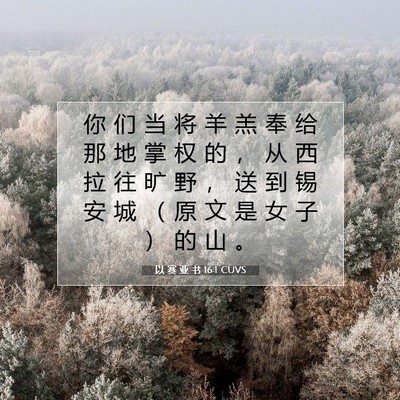Picture 07 - 以 赛 亚 书 16:1 CUVS - 你 们 当 将 羊 羔 奉 给 那 地 掌 权 - Bible Verse Picture