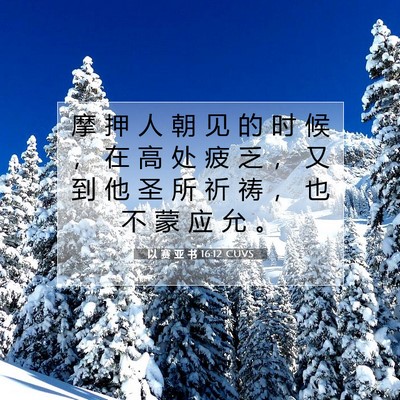 Picture 07 - 以 赛 亚 书 16:12 CUVS - 摩 押 人 朝 见 的 时 候 ， 在 高 处 - Bible Verse Picture