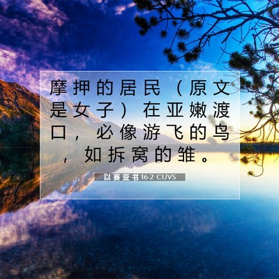 Picture 07 - 以 赛 亚 书 16:2 CUVS - 摩 押 的 居 民 （ 原 文 是 女 子 ） - Bible Verse Picture
