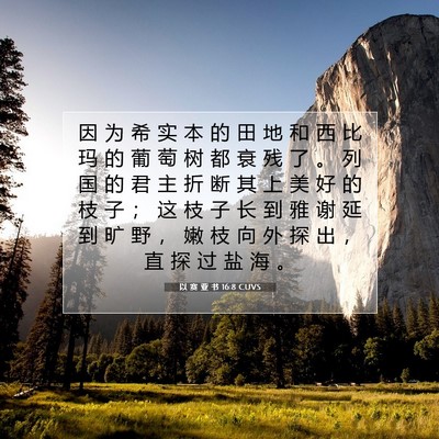 Picture 07 - 以 赛 亚 书 16:8 CUVS - 因 为 希 实 本 的 田 地 和 西 比 玛 - Bible Verse Picture