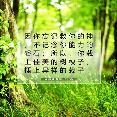 Picture 07 - 以 赛 亚 书 17:10 CUVS - 因 你 忘 记 救 你 的 神 ， 不 记 念 - Bible Verse Picture