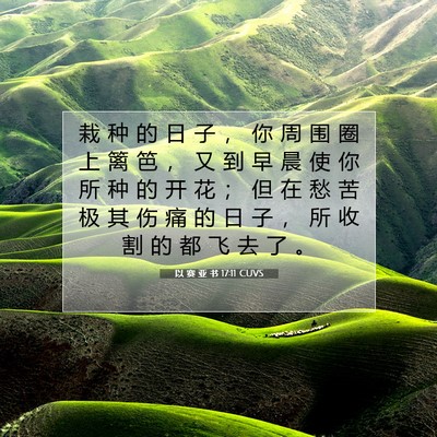 Picture 07 - 以 赛 亚 书 17:11 CUVS - 栽 种 的 日 子 ， 你 周 围 圈 上 篱 - Bible Verse Picture