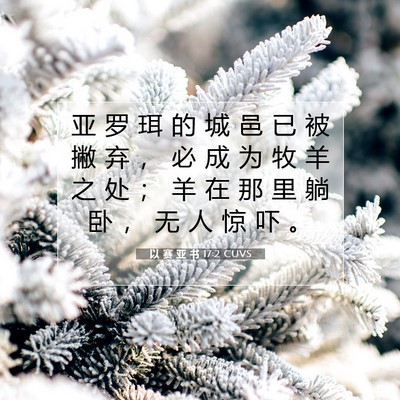 Picture 07 - 以 赛 亚 书 17:2 CUVS - 亚 罗 珥 的 城 邑 已 被 撇 弃 ， 必 - Bible Verse Picture