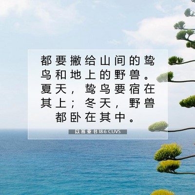 Picture 07 - 以 赛 亚 书 18:6 CUVS - 都 要 撇 给 山 间 的 鸷 鸟 和 地 上 - Bible Verse Picture