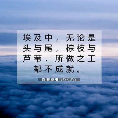 Picture 07 - 以 赛 亚 书 19:15 CUVS - 埃 及 中 ， 无 论 是 头 与 尾 ， 棕 - Bible Verse Picture