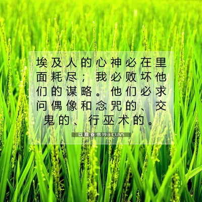 Picture 07 - 以 赛 亚 书 19:3 CUVS - 埃 及 人 的 心 神 必 在 里 面 耗 尽 - Bible Verse Picture