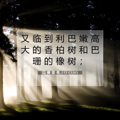 Picture 07 - 以 赛 亚 书 2:13 CUVS - 又 临 到 利 巴 嫩 高 大 的 香 柏 树 - Bible Verse Picture