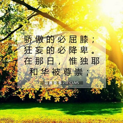 Picture 07 - 以 赛 亚 书 2:17 CUVS - 骄 傲 的 必 屈 膝 ； 狂 妄 的 必 降 - Bible Verse Picture