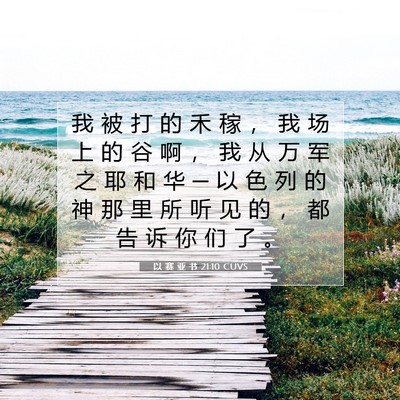 Picture 07 - 以 赛 亚 书 21:10 CUVS - 我 被 打 的 禾 稼 ， 我 场 上 的 谷 - Bible Verse Picture
