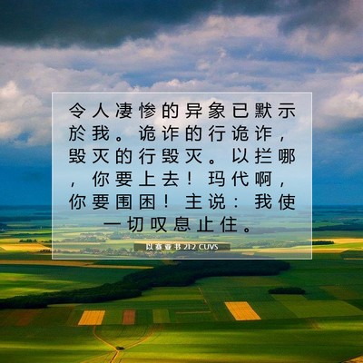 Picture 07 - 以 赛 亚 书 21:2 CUVS - 令 人 凄 惨 的 异 象 已 默 示 於 我 - Bible Verse Picture