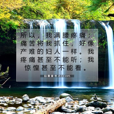 Picture 07 - 以 赛 亚 书 21:3 CUVS - 所 以 ， 我 满 腰 疼 痛 ； 痛 苦 将 - Bible Verse Picture