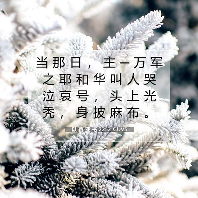 Picture 07 - 以 赛 亚 书 22:12 CUVS - 当 那 日 ， 主 ─ 万 军 之 耶 和 华 - Bible Verse Picture