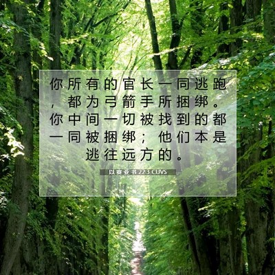 Picture 07 - 以 赛 亚 书 22:3 CUVS - 你 所 有 的 官 长 一 同 逃 跑 ， 都 - Bible Verse Picture
