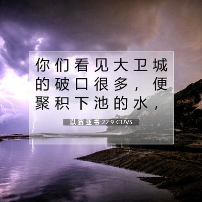 Picture 07 - 以 赛 亚 书 22:9 CUVS - 你 们 看 见 大 卫 城 的 破 口 很 多 - Bible Verse Picture