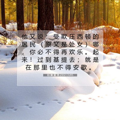 Picture 07 - 以 赛 亚 书 23:12 CUVS - 他 又 说 ： 受 欺 压 西 顿 的 居 民 - Bible Verse Picture