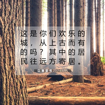 Picture 07 - 以 赛 亚 书 23:7 CUVS - 这 是 你 们 欢 乐 的 城 ， 从 上 古 - Bible Verse Picture