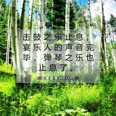 Picture 07 - 以 赛 亚 书 24:8 CUVS - 击 鼓 之 乐 止 息 ； 宴 乐 人 的 声 - Bible Verse Picture