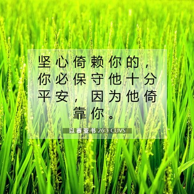 Picture 07 - 以 赛 亚 书 26:3 CUVS - 坚 心 倚 赖 你 的 ， 你 必 保 守 他 - Bible Verse Picture