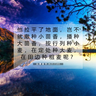 Picture 07 - 以 赛 亚 书 28:25 CUVS - 他 拉 平 了 地 面 ， 岂 不 就 撒 种 - Bible Verse Picture