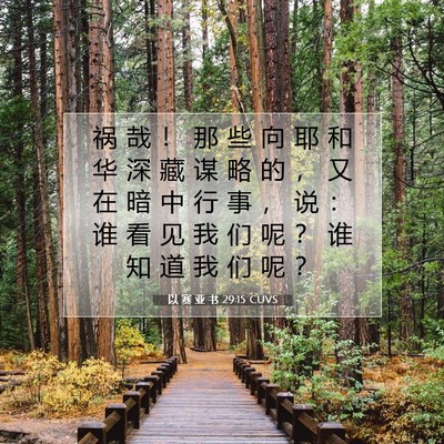 Picture 07 - 以 赛 亚 书 29:15 CUVS - 祸 哉 ！ 那 些 向 耶 和 华 深 藏 谋 - Bible Verse Picture