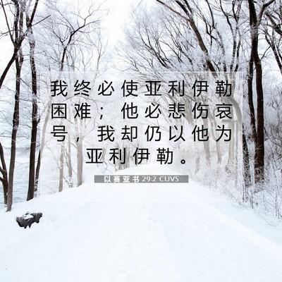 Picture 07 - 以 赛 亚 书 29:2 CUVS - 我 终 必 使 亚 利 伊 勒 困 难 ； 他 - Bible Verse Picture