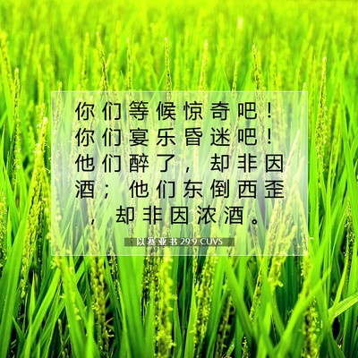 Picture 07 - 以 赛 亚 书 29:9 CUVS - 你 们 等 候 惊 奇 吧 ！ 你 们 宴 乐 - Bible Verse Picture
